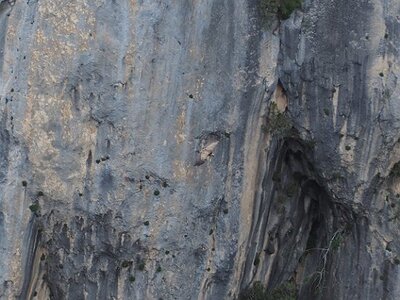 LAVANDES ET GORGES DU VERDON, 0141