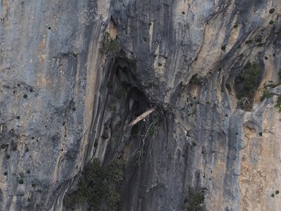 LAVANDES ET GORGES DU VERDON, 0142