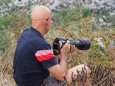 LAVANDES ET GORGES DU VERDON, 0143