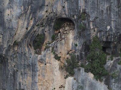 LAVANDES ET GORGES DU VERDON, 0145