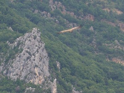 LAVANDES ET GORGES DU VERDON, 0147
