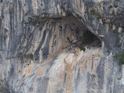 LAVANDES ET GORGES DU VERDON, 0161