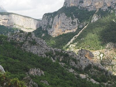 LAVANDES ET GORGES DU VERDON, 0165