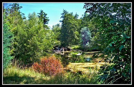 À travers la campagne, Campagne 02 - Coin de paradis.jpg