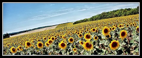 À travers la campagne, Campagne 07 - Mes amours.jpg