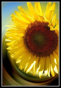 À travers la campagne, Campagne 09 - Soleil dans le coeur.jpg
