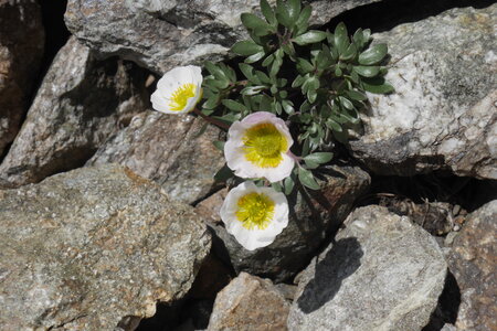 2019-07-01-07-meije, col-de-la-lauze-alpes-aventure-2019-07-02-19