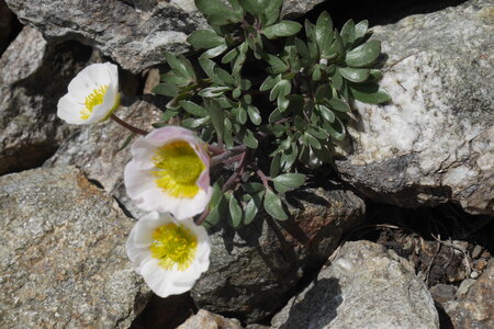 2019-07-01-07-meije, col-de-la-lauze-alpes-aventure-2019-07-02-21