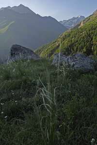 2019-07-01-07-meije, refuge-aigle-alpes-aventure-2019-07-05-10