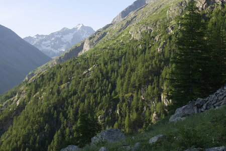 2019-07-01-07-meije, refuge-aigle-alpes-aventure-2019-07-05-13