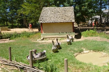 Puisaye-Bourbonnais, P1010398