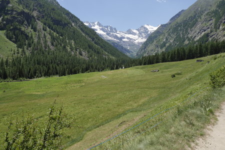 2019-07-08-13-grand-paradis, refuge-vittorio-sella-al-lauson--alpes-aventure-2019-07-08-06