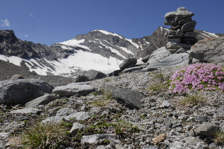 2019-07-08-13-grand-paradis, gran-serra-alpes-aventure-2019-07-10-55