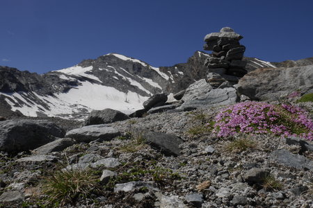2019-07-08-13-grand-paradis, gran-serra-alpes-aventure-2019-07-10-56