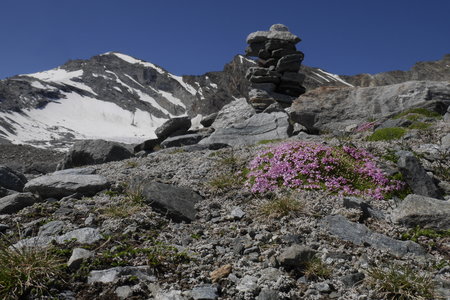 2019-07-08-13-grand-paradis, gran-serra-alpes-aventure-2019-07-10-57