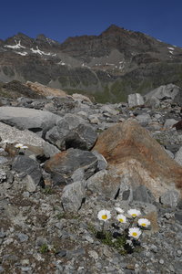 2019-07-08-13-grand-paradis, gran-serra-alpes-aventure-2019-07-10-61