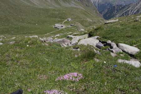 2019-07-08-13-grand-paradis, gran-serra-alpes-aventure-2019-07-10-64