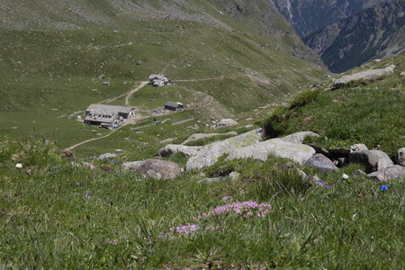 2019-07-08-13-grand-paradis, gran-serra-alpes-aventure-2019-07-10-65