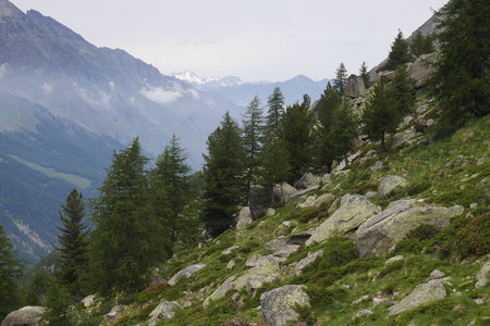 2019-07-08-13-grand-paradis, refuge-chabod-alpes-aventure-2019-07-11-02
