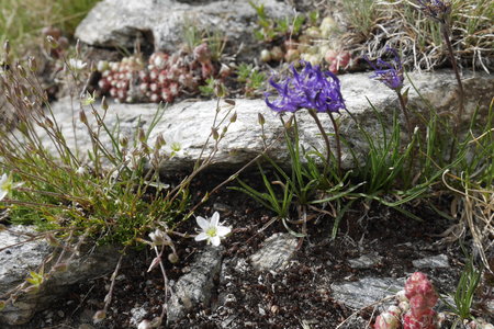 2019-07-08-13-grand-paradis, refuge-chabod-alpes-aventure-2019-07-11-22