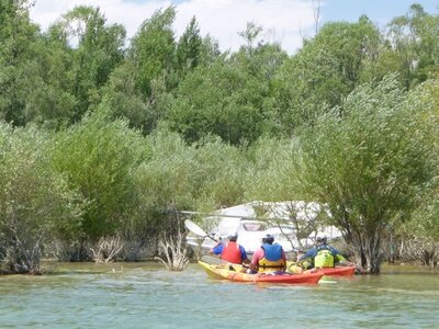 Lac de Saintes Croix - 6 et 7 juillet 2019, Lac Saintes Croix_6et7juillet2019_0077