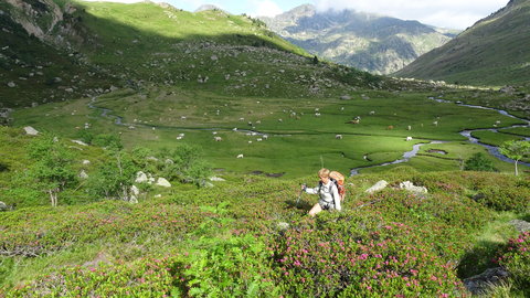 Pla de las Peyres-Port de Juclar-Incles-Port de Fontargente, DSC02351
