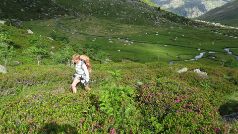 Pla de las Peyres-Port de Juclar-Incles-Port de Fontargente, DSC02352
