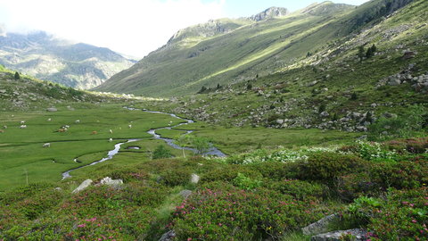Pla de las Peyres-Port de Juclar-Incles-Port de Fontargente, DSC02353