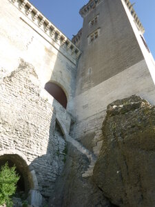 Tour Barthelasse Tarascon-Beaucaire_19 juillet 2019, P1090356