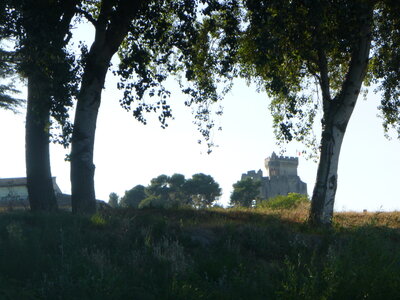Tour Barthelasse Tarascon-Beaucaire_19 juillet 2019, P1090382