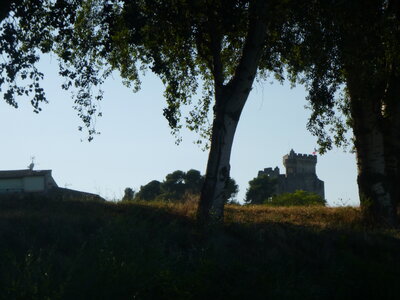 Tour Barthelasse Tarascon-Beaucaire_19 juillet 2019, P1090383