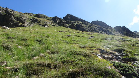 2019_07_28 La Soula-Pouchergues-Caillaouas, DSC02515