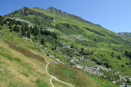 grands moulins, IMG_0072