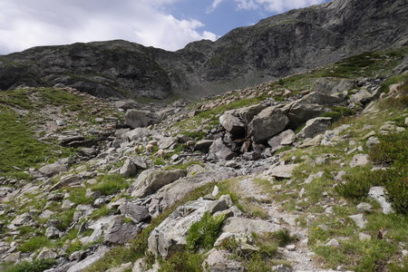 2019-08-05-07-grand-tour-des-ecrins, entre-les-aygues-pre-de-la-chaumette-alpes-aventure-2019-08-05-12