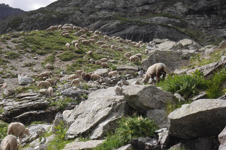 2019-08-05-07-grand-tour-des-ecrins, entre-les-aygues-pre-de-la-chaumette-alpes-aventure-2019-08-05-13
