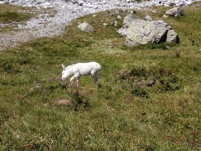 Montagne été 2019, IMG_20190808_125652