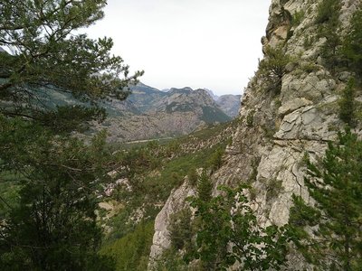 Les Guions, Thurifère10