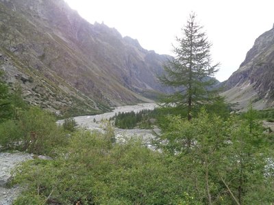 glacier-blanc, DSC01062
