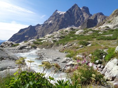glacier-blanc, DSC01081