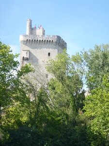 Pont d'Avignon_16et23aout2019, Pont Avignon_16aout2019_0008