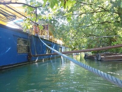 Pont d'Avignon_16et23aout2019, Pont Avignon_16aout2019_0014