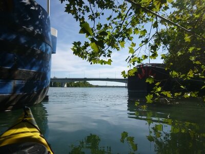 Pont d'Avignon_16et23aout2019, Pont Avignon_16aout2019_0017