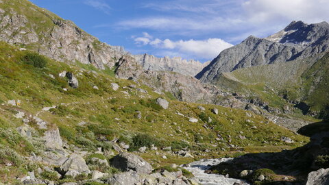 Grand Combin arête du Meitin, P1170231