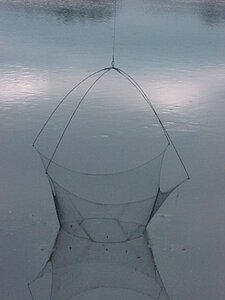 Formes et couleurs, MVC-101F