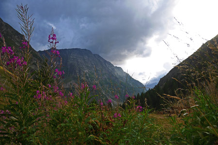 2019-08-10-17-grand-tour-des-ecrins, grand-tour-des-ecrins-salce-chaumette-alpes-aventure-46