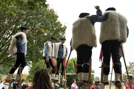 @fmbdx@piaille.fr 2018, Transhumance urbaine, Blanquefort & Bordeaux