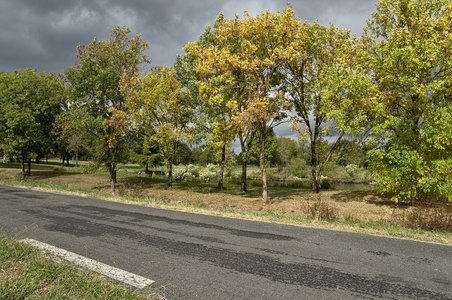 @fmbdx@piaille.fr 2018, Transhumance urbaine, Blanquefort & Bordeaux