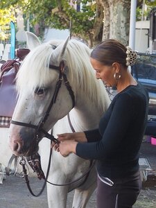 LA CAMARGUE A DIGNE, 0001