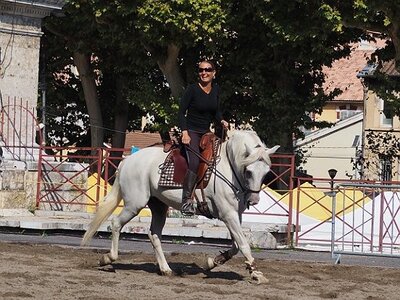 LA CAMARGUE A DIGNE, 0005