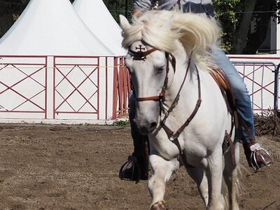 LA CAMARGUE A DIGNE, 0006